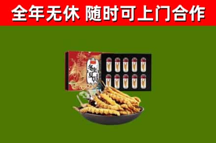 宜黄县回收冬虫夏草价格